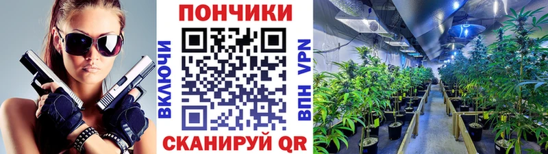 Где купить наркоту Апатиты СК  Гашиш  Марихуана  COCAIN 