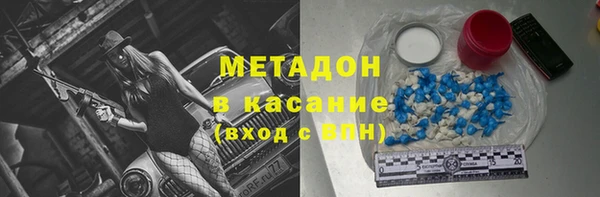 прущие грибы Абинск
