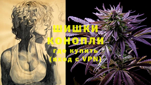 шишки Осинники