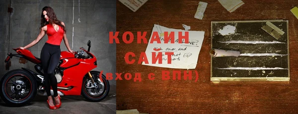 прущие грибы Абинск